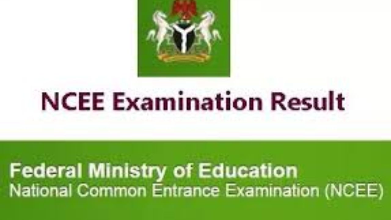 How to Check 2024 NCEE Result Online | Step-by-Step Guide